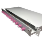 Preview: OV-12xLC-D OM4  19 Zoll Spleissbox 12xLC-D OM4  1HE/12/gr CSH 24Pgt 50/125 12Kup violet